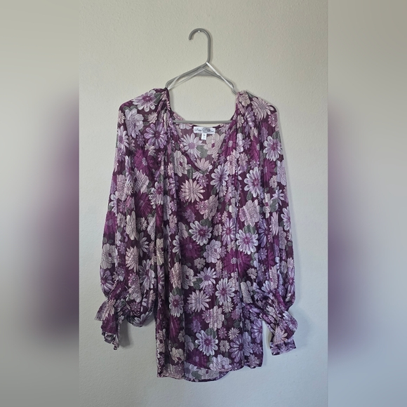 Stem & Vine Purple Floral Sheer Blouse Boho Cottagecore Romantic Top 2X - Picture 1 of 5